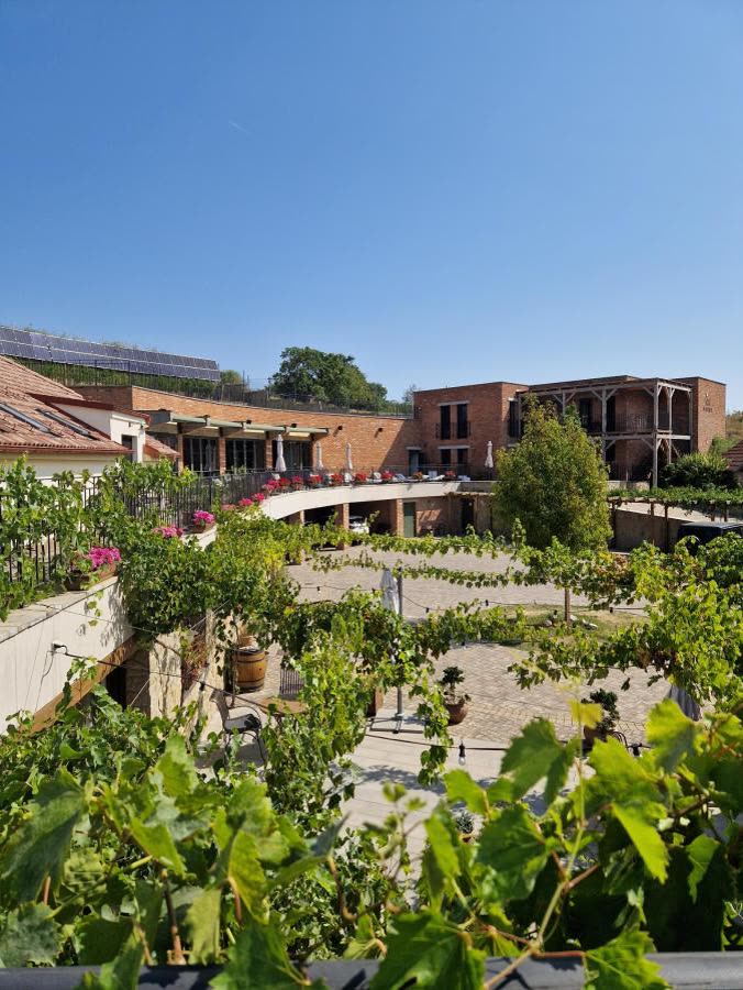 Residence Marko Prosecco – zahrada
